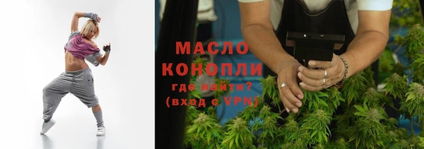 крисы Кулебаки
