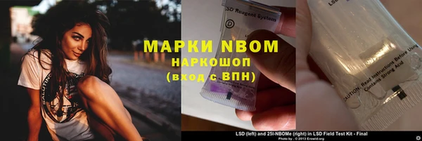 дмт Ладушкин