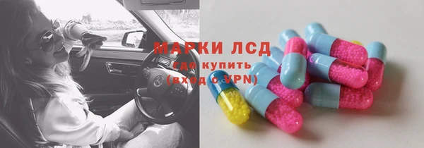 крисы Кулебаки