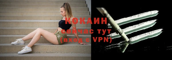 дмт Ладушкин