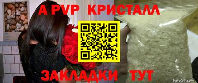тгк Канаш