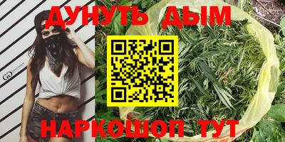 тгк Канаш