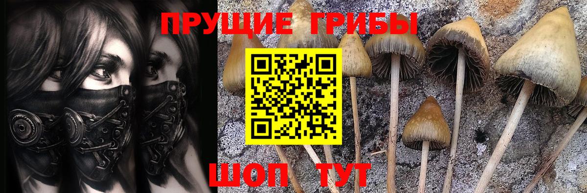 Галлюциногенные грибы ЛСД  Учалы 