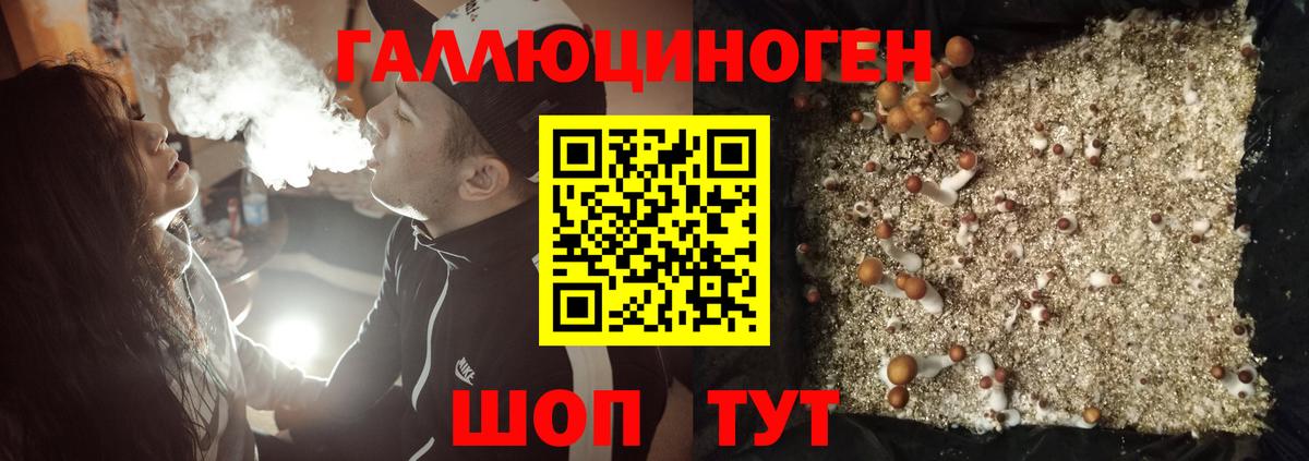 Галлюциногенные грибы GOLDEN TEACHER Учалы