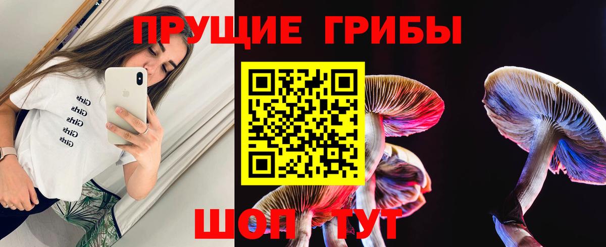 Псилоцибиновые грибы прущие грибы  Галлюциногенные грибы Psilocybine cubensis  Вход с VPN  Учалы 